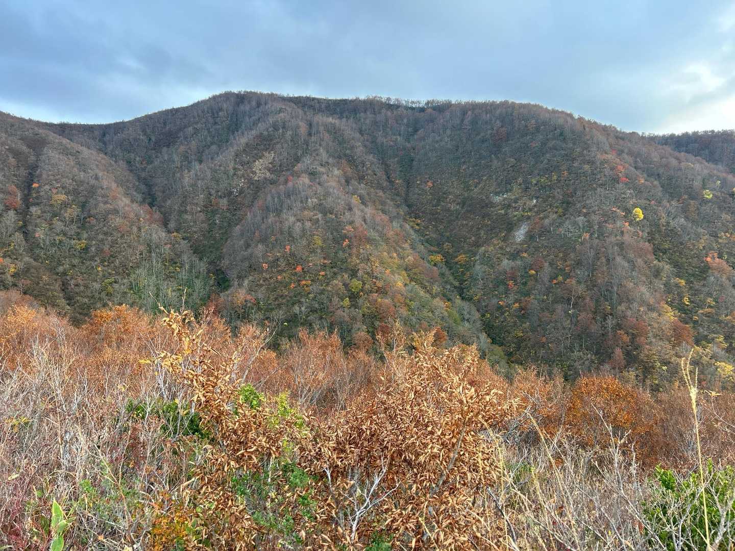 こつぶり山 往復コースの写真