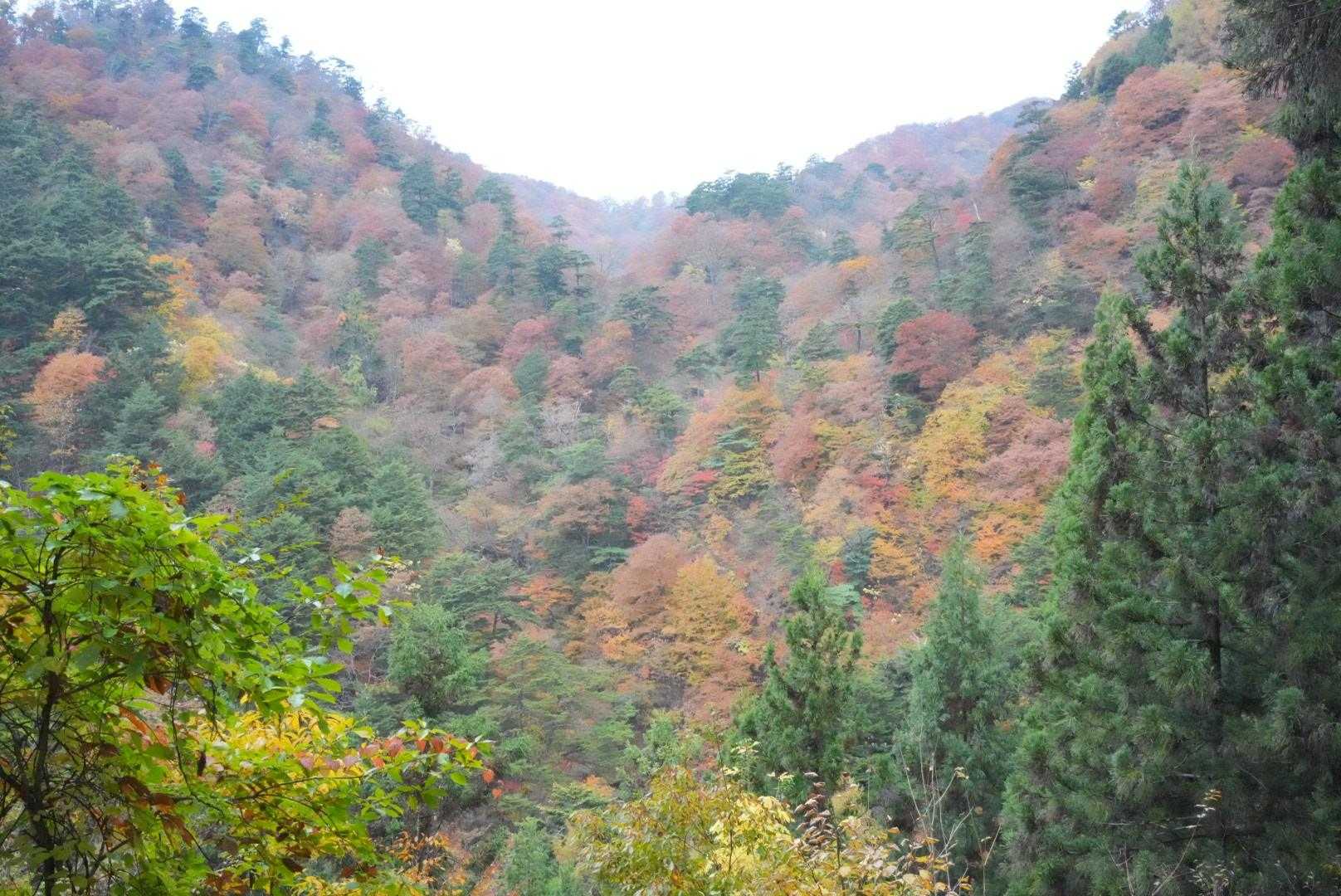 ここで気づきました、ホワイトバランスの調整をしていないことに