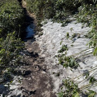 チョイ残雪