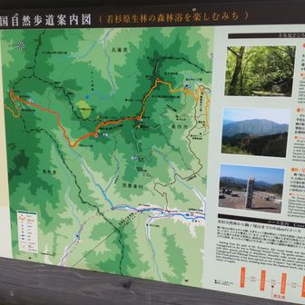 ダルガ峰に行こうと思った矢先、避難小屋あたりで子熊が横切り、ちょーびっくり😱
その辺りに親熊もいる可能性があるのでさっさと撤退しました
マジ、怖かった😰