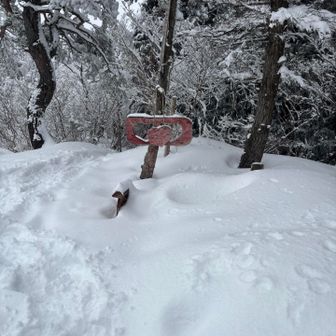 見晴らし台は、ここまで、雪