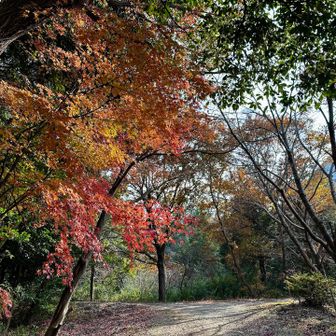 久しぶりに来れて良かった💕
かとちん今日はありがとう😊