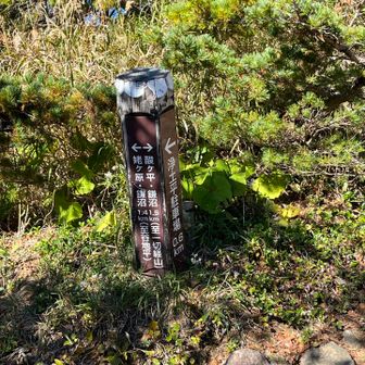 ここを右に