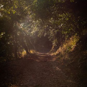 今日の1日で何人の人がこの道を通り過ぎたんだろう。
黙って黙々と歩く人や悩み事を何回を考えリピート🔁する人。
overthinker(オーバーシンカー)