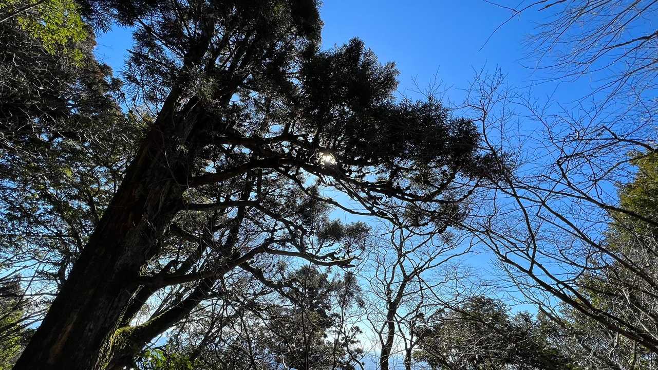 筑波山（女体山・男体山） の写真 1