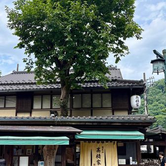 高尾山口駅に向かう参道にある
そば高橋家さん
家の中を木が生えてるので有名とか
今日初めて気付いたぁ〜😳