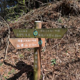 ここからデポ地点まで2.5km林道を歩く。