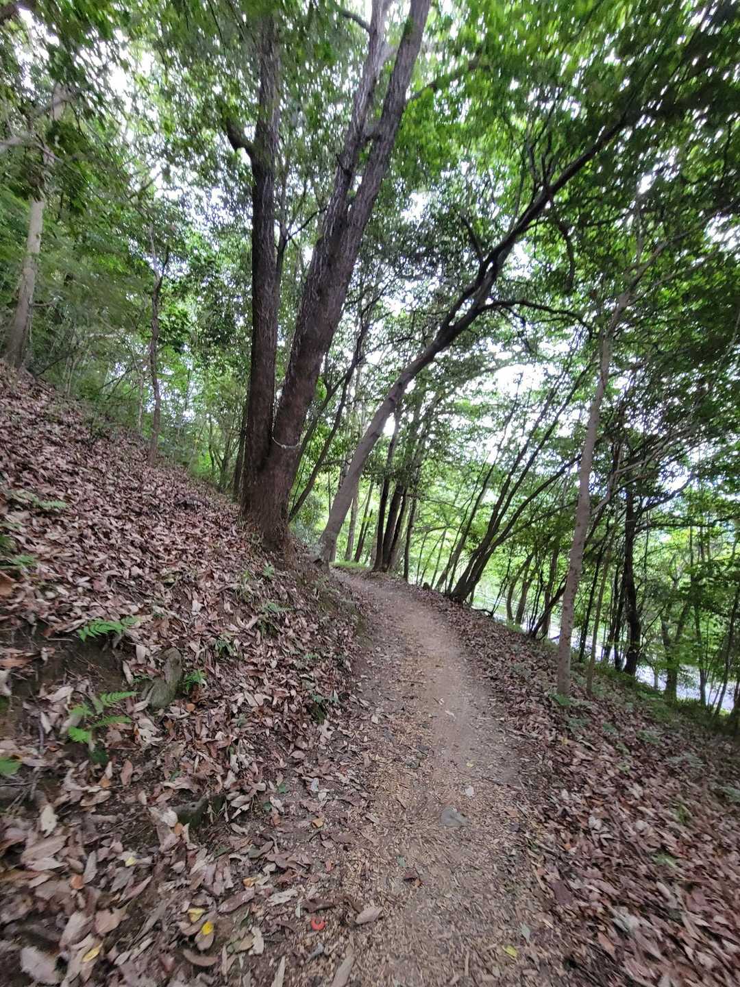 いい汗かいた～
シャワーさっと浴びてお仕事行ってきます