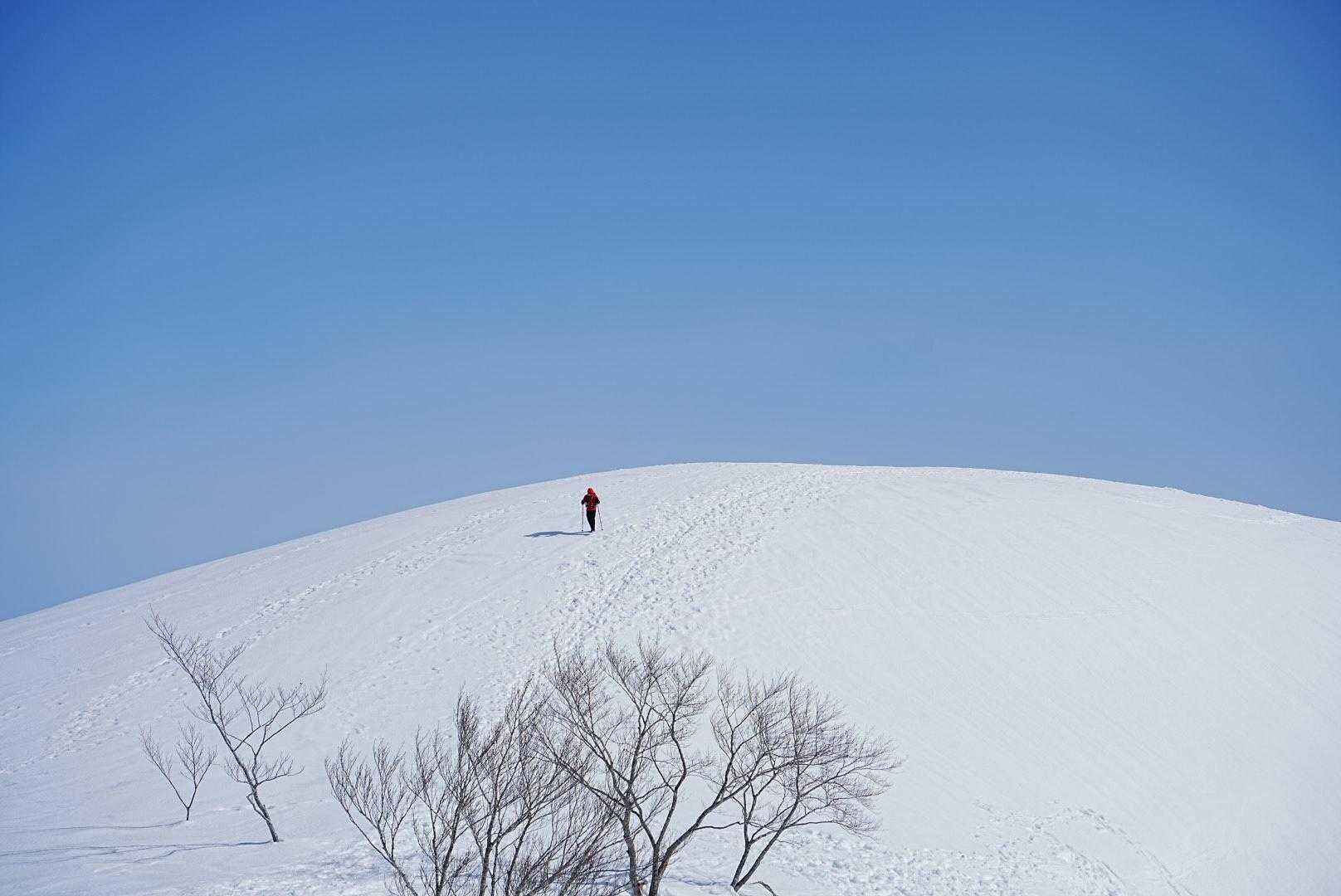 地蔵の頭-二ノ背髪-小遠見山-五竜登山口-中遠見山-五竜テ 縦走コースの写真