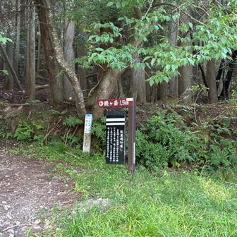 余呉港からの登山道