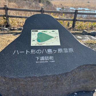 ハートの形らしいけど、よく分からんかった