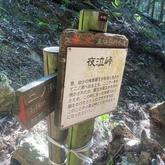 夜泣峠着。

その直前に、この山域で道を間違え、かなりのロスをしました。マップでちょろっと飛び出している部分です。^^;

実は、この時点で、計画では2時間くらい早くゴールできるつもりでいたのに・・・と、内心焦っていました。(T_T)

いろいろな条件が重なったとはいえ、思うように移動できなかったのは、反省です・・・。