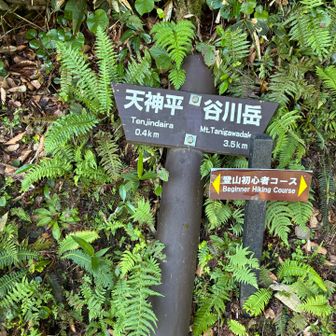 まだまだ、この辺りは余裕のよしこチャンでした😁
登山初心者コースだしね✌️