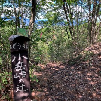ここから【流星の滝】へ下りてみる。