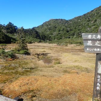 花之江河の湿原に到着