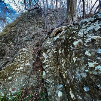 前回登ったルートを忘れてしまった。直登の踏み跡っぽいものがあるけれども、皆さん、ここをフリー・ソロで行くとは思えず… :-))
観察したら左に巻く踏み跡あり。