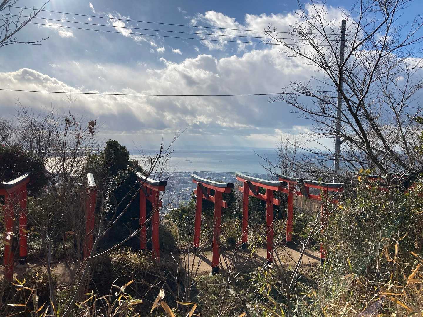 よこから鳥居⛩