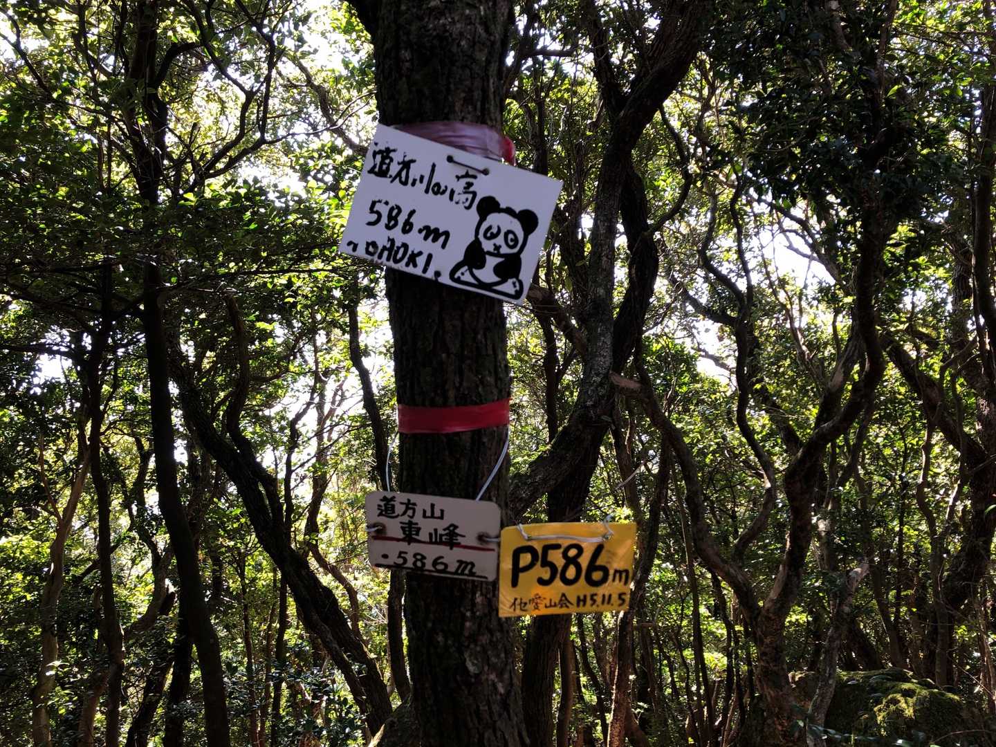 道方山登り口-道方山東峰-道方山 往復コースの写真