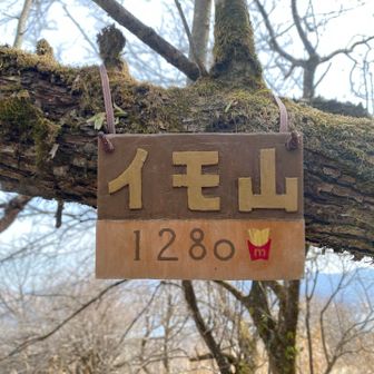 イモ山🍟てっぺん！