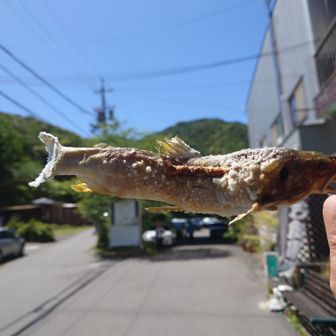 作業も終了し、宇賀渓にて鮎焼をいただきました。骨まで食べられます♪