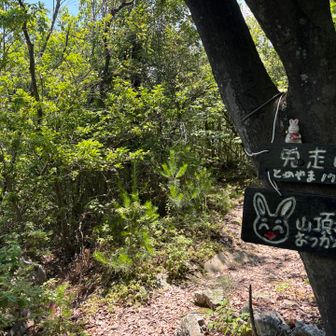 兎走山⛰️