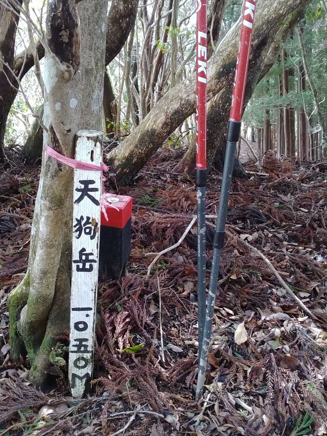 石鎚山系のルートから少し離れている天狗岳です。展望はありませんが立ち寄りました。