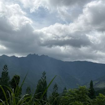 雨は大丈夫そう