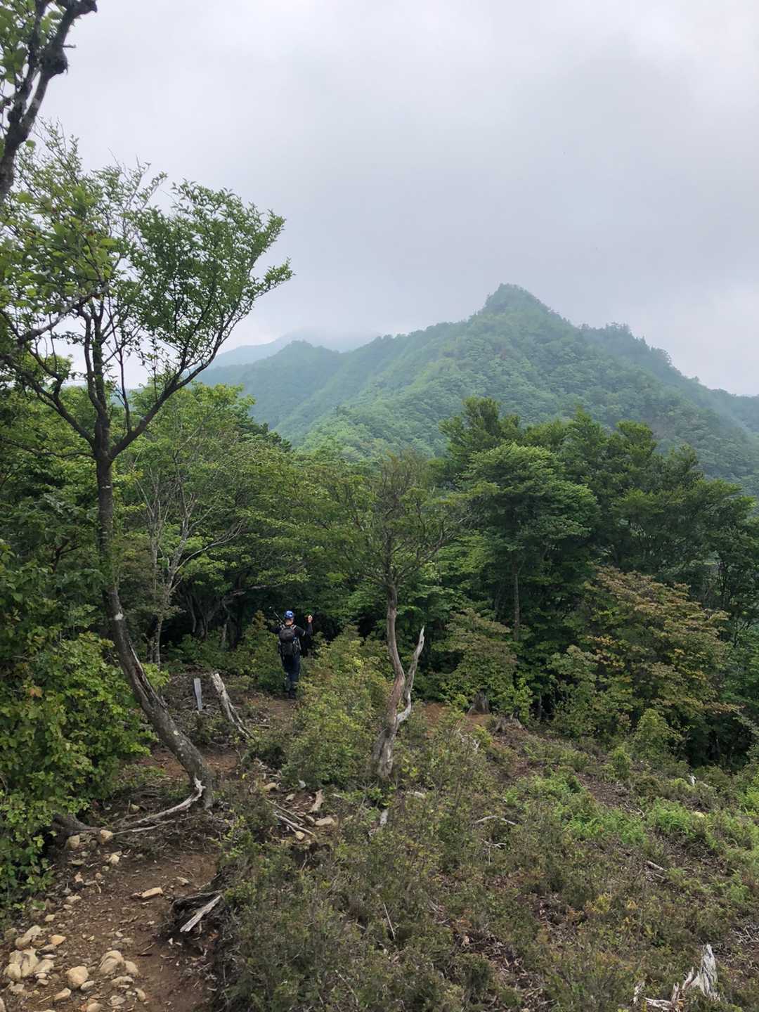 高丸山登山口-三つ尾の峠-高丸山-雲早山 周回コースの写真