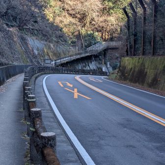 あの登坂が本来行くべき道
…がその下に誘惑のバス停🚏