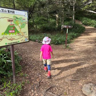 今回は迂回ルートで行くことに。