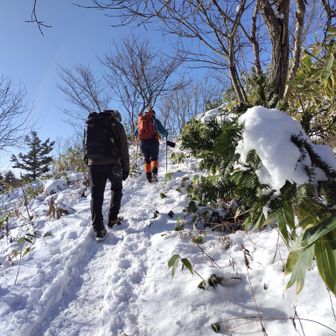 再び長官山へ。
日差しが気持ち良い😊