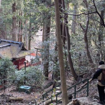 鳳来山東照宮 りっぱ‼️