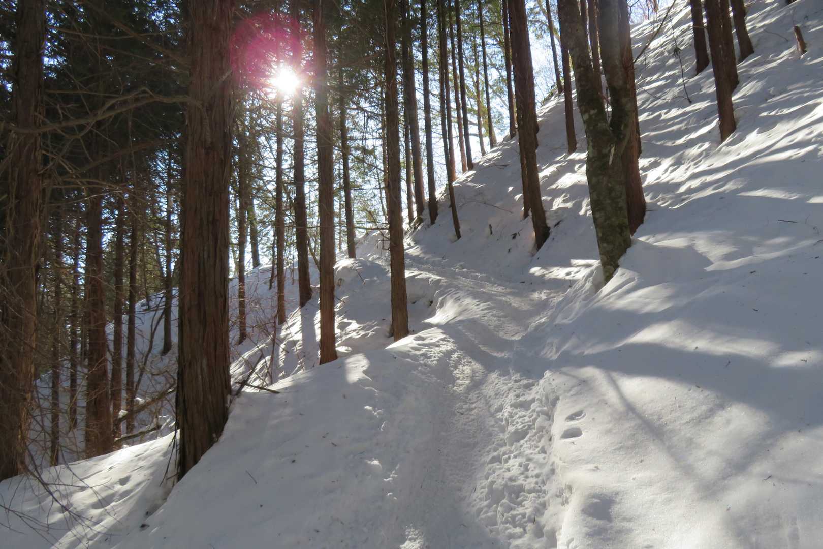 ちょっと固めの雪だけど…綺麗✨