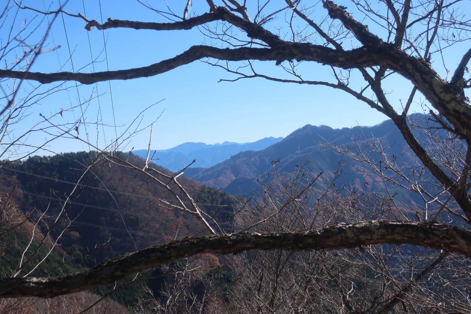 新道の鉄塔のある所から檜洞丸・大室山が見えました。