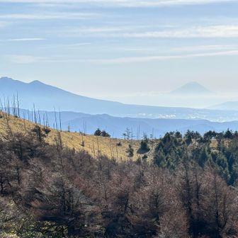 展望台からすごい絶景をぐるっと撮って見ました
八ヶ岳→富士山🗻