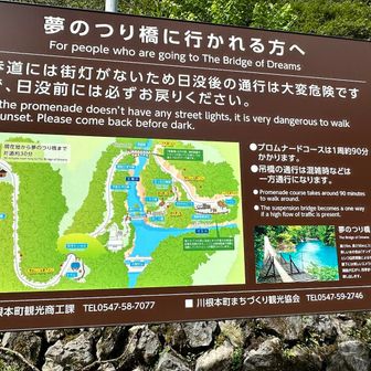 街灯は無いそうです