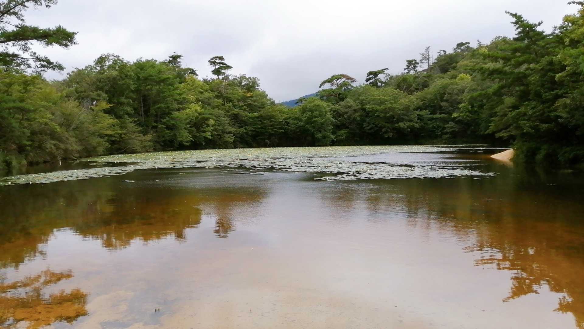 横池❖水量大‼️
