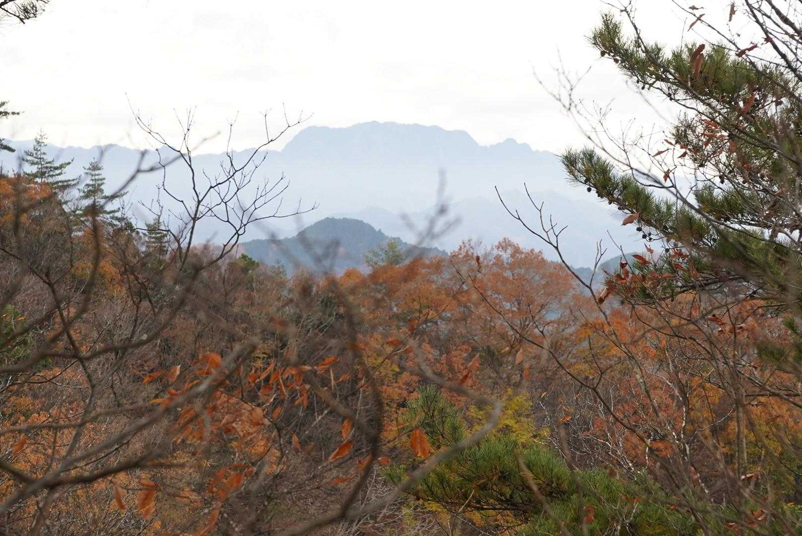 こちらは両神山だ✨