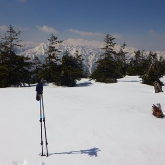 猿ヶ馬場山登頂。標識ないので、最高地点らしきところにストック立て白山を背景に撮影。