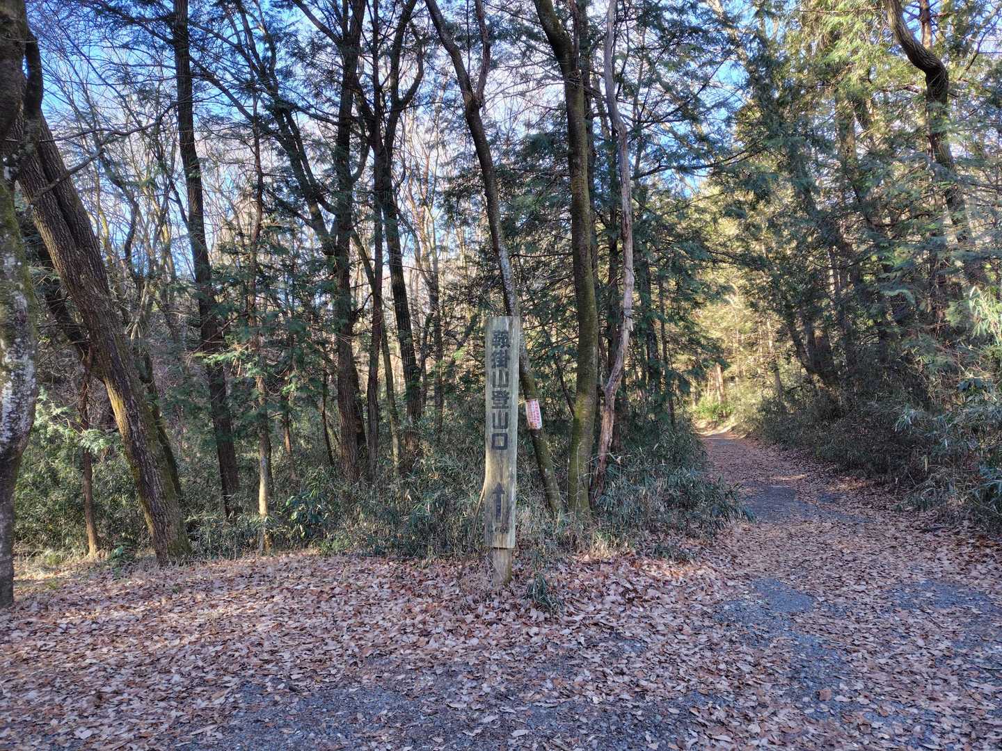 鞍掛山登山口(ここに駐車しました)　道標の右の道を行き、左の道から戻ってきました