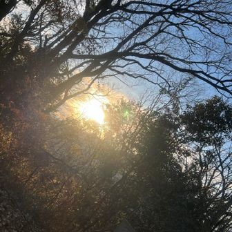 日差しが上がり気温が上がる。生き返る。