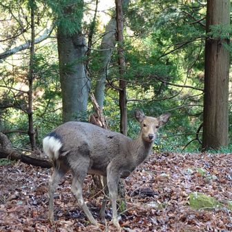 👀‼
お互いにビックリ