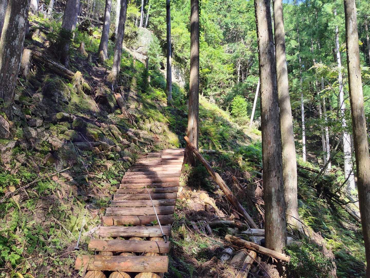 馬ノ鞍峰 往復コースの写真