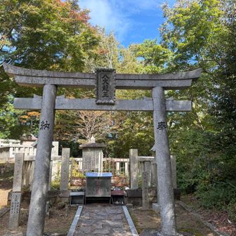 今日は正面から⛩️