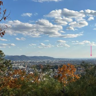 途中の眺望
↓ の所に小さく京都タワーが見えますよ🗼😚