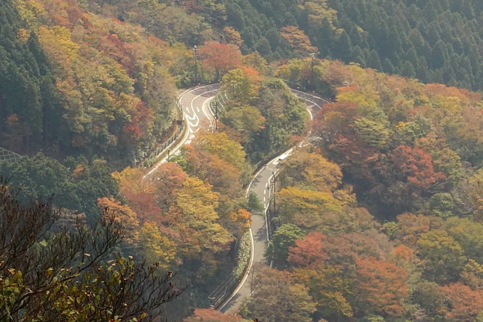 金時登山口バス停-金時山登山口-金時山-長尾山-乙女峠-姥 縦走コースの写真