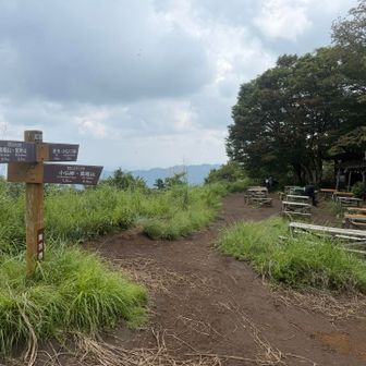 景信山　山頂
