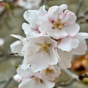 この後雨が☂️