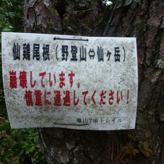 崩落っていつしたんやろ？
