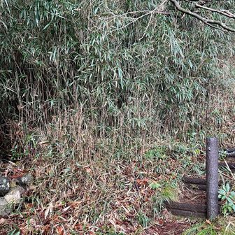 ほたるの里登山口へ無事にげっざーん。おつかれ山！また来年もよろしくお願いします🙏